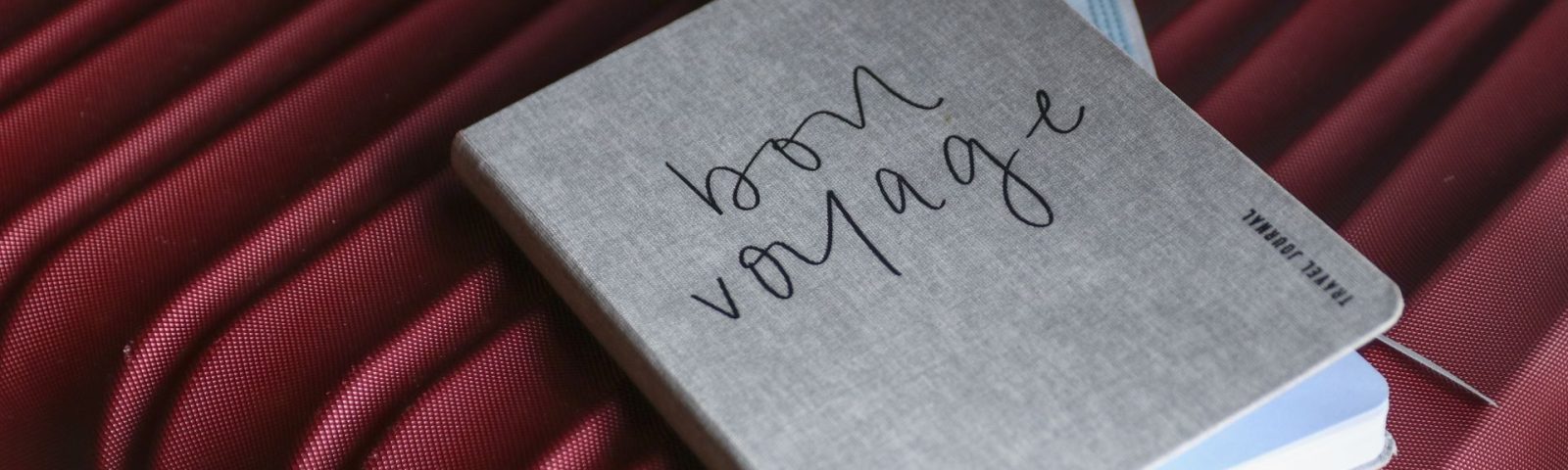 Carnet de voyage et protection sanitaire sur une valise