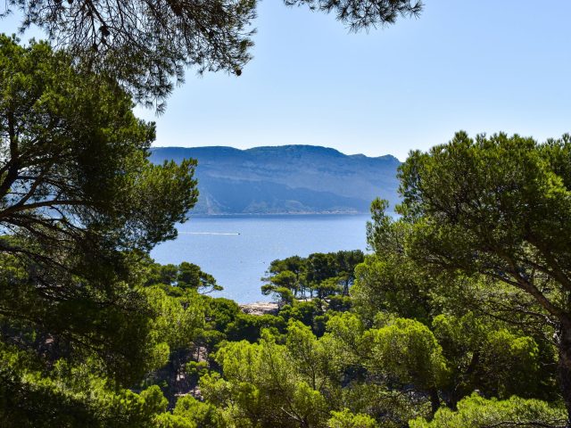 Comment profiter de l’offre MICE à Nice tout au long de l’année ?