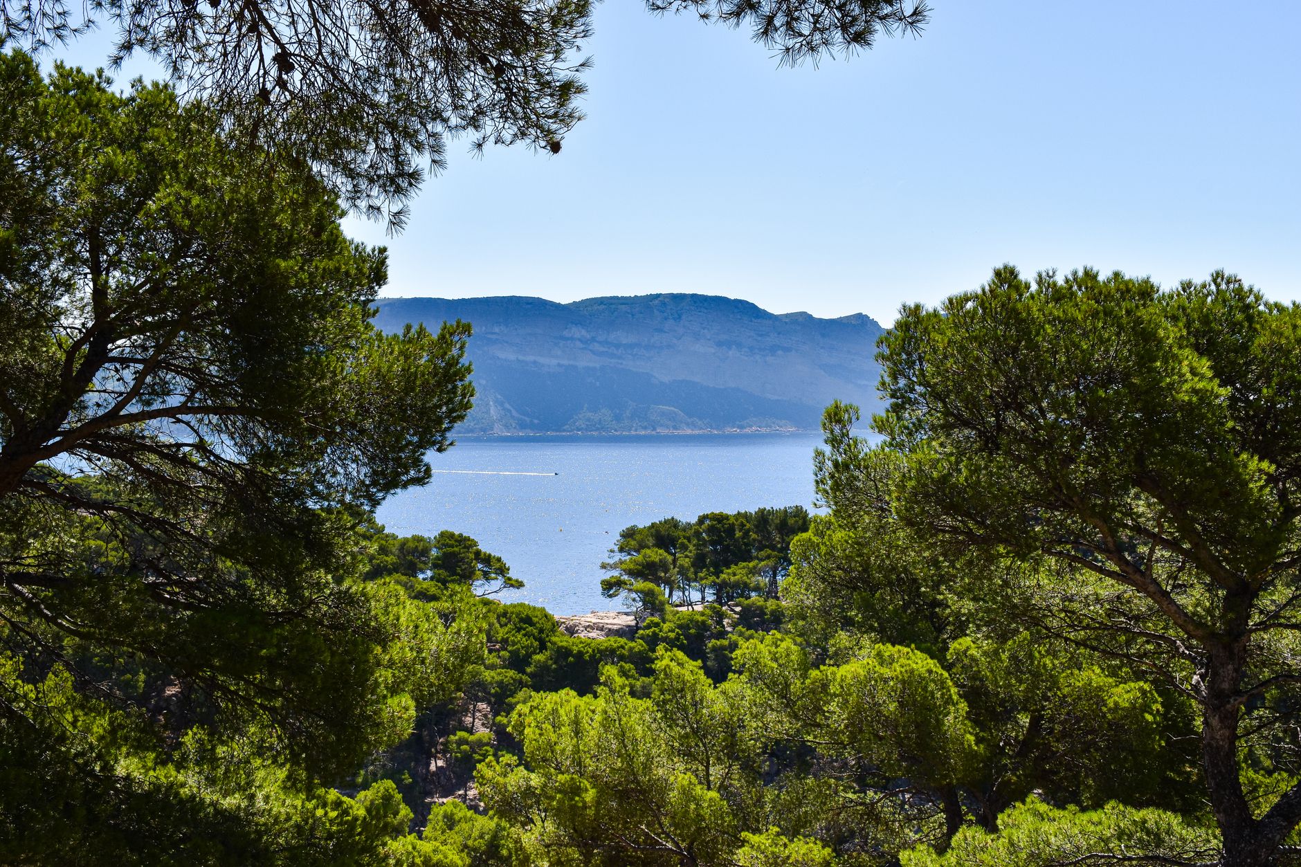 Comment profiter de l&rsquo;offre MICE à Nice tout au long de l&rsquo;année ?