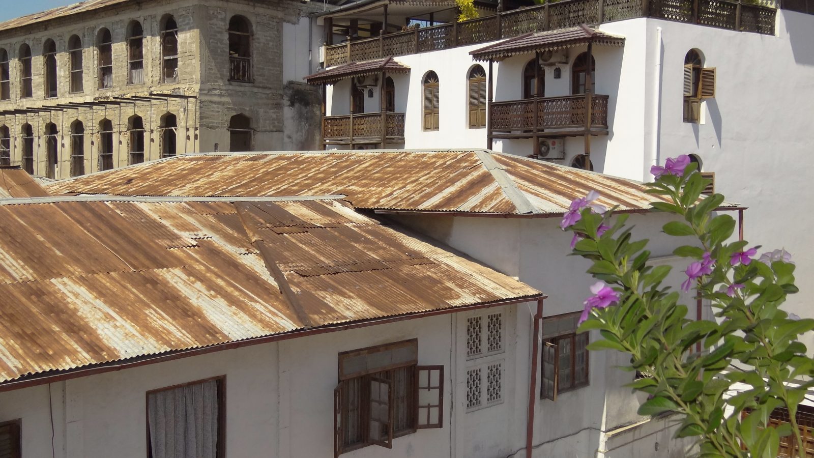 Zanzibar : ce qui change pour le voyage d'affaires en 2026