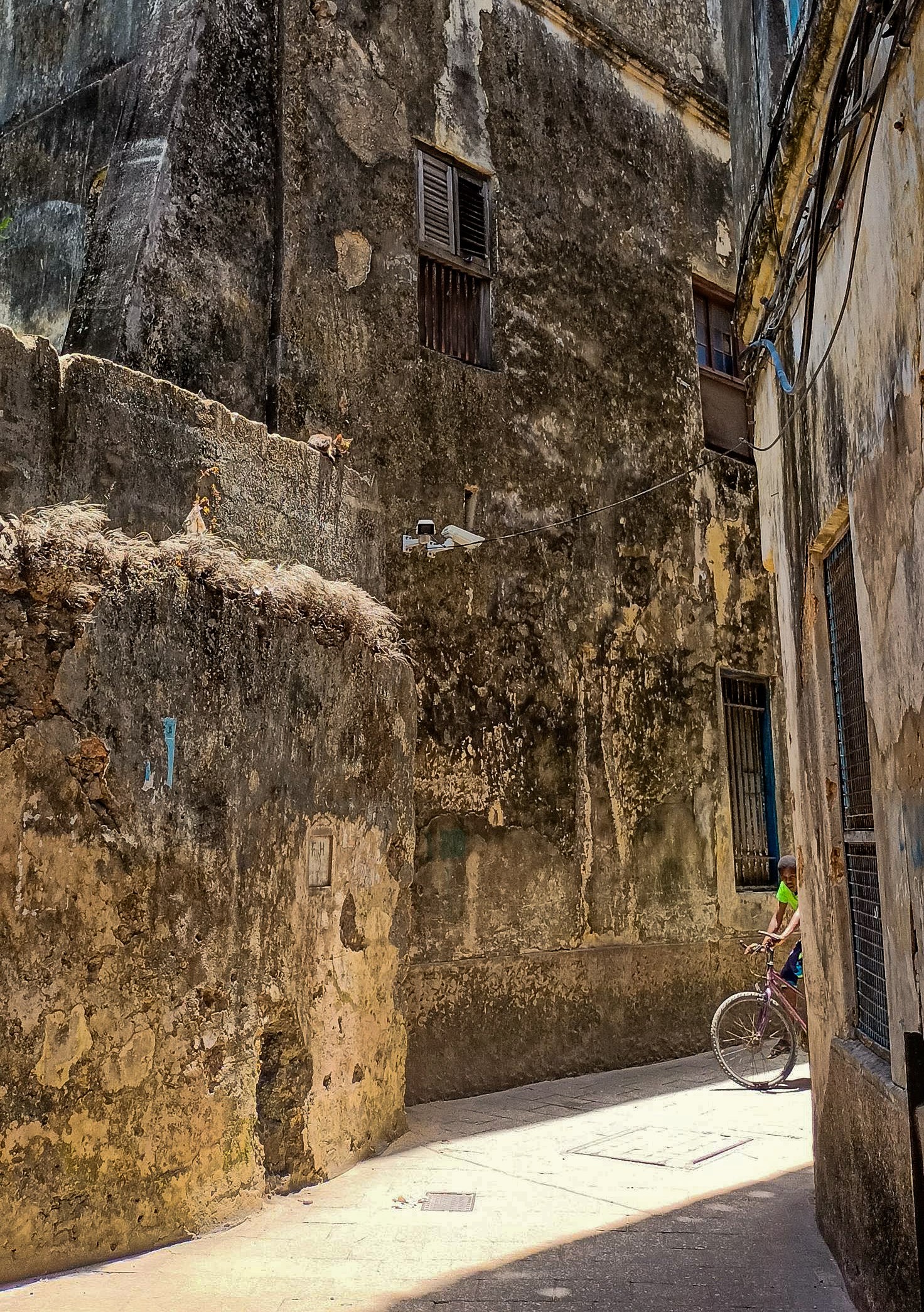 ruelle étroite du centre historique de Zanzibar, façades anciennes, un cycliste passe